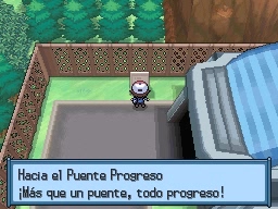 Puente Progreso en Pokémon Negro y Blanco — captura 2