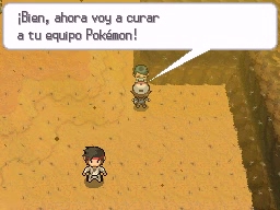 Ruta 4 en Pokémon Negro y Blanco — captura 1