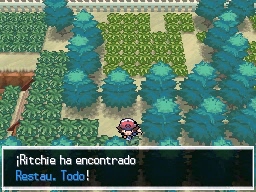 Ruta 9 en Pokémon Negro y Blanco — captura 1 Ruta 9 en Pokémon Negro y Blanco — captura 1