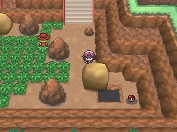 Ruta 15 en Pokémon Negro y Blanco — captura 2 Ruta 15 en Pokémon Negro y Blanco — captura 2