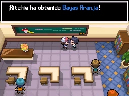 Ciudad Gres en Pokémon Negro y Blanco — captura 2