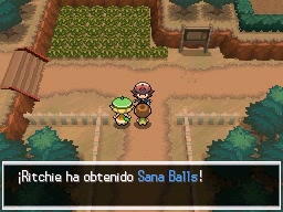 Ruta 3 en Pokémon Negro y Blanco — captura 2 Ruta 3 en Pokémon Negro y Blanco — captura 2