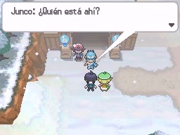 Ciudad Teja en Pokémon Negro y Blanco — captura 1