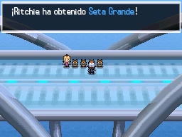 Puente Progreso en Pokémon Negro y Blanco — captura 2