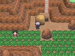 Ruta 15 en Pokémon Negro y Blanco — captura 2 Ruta 15 en Pokémon Negro y Blanco — captura 2