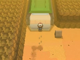 Ruta 4 en Pokémon Negro y Blanco — captura 2