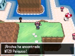 Ruta 13 en Pokémon Negro y Blanco — captura 2 Ruta 13 en Pokémon Negro y Blanco — captura 2