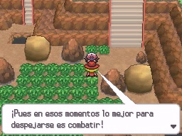 Ruta 15 en Pokémon Negro y Blanco — captura 1 Ruta 15 en Pokémon Negro y Blanco — captura 1