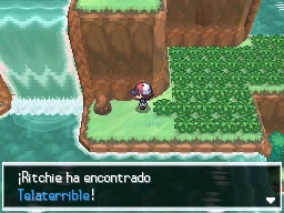 Ruta 14 en Pokémon Negro y Blanco — captura 1