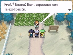 Ruta 1 en Pokémon Negro y Blanco — captura 1 Ruta 1 en Pokémon Negro y Blanco — captura 1