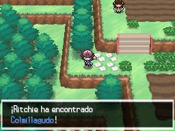 Ruta 14 en Pokémon Negro y Blanco — captura 2