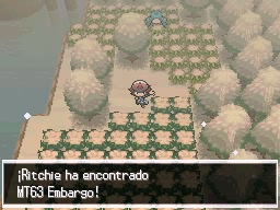 Torre Duodraco en Pokémon Negro y Blanco — captura 2