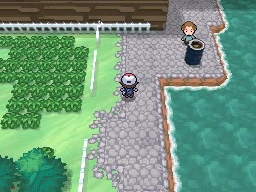 Puente Villa en Pokémon Negro y Blanco — captura 1