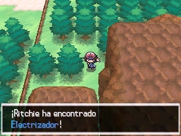 Ruta 13 en Pokémon Negro y Blanco — captura 2 Ruta 13 en Pokémon Negro y Blanco — captura 2