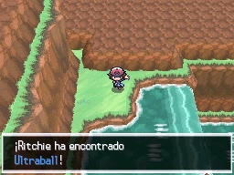 Ruta 14 en Pokémon Negro y Blanco — captura 2