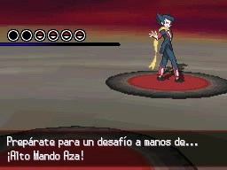 Liga Pokémon en Pokémon Negro y Blanco — captura 2