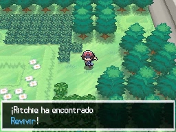Ruta 12 en Pokémon Negro y Blanco — captura 1 Ruta 12 en Pokémon Negro y Blanco — captura 1
