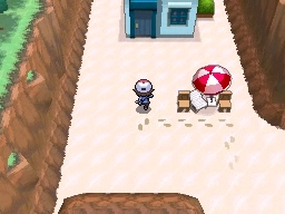Ruta 13 en Pokémon Negro y Blanco — captura 2 Ruta 13 en Pokémon Negro y Blanco — captura 2