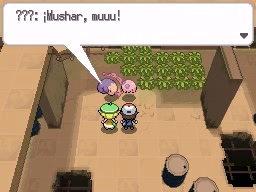 Ciudad Gres en Pokémon Negro y Blanco — captura 2