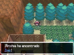 Ruta 5 en Pokémon Negro y Blanco — captura 2 Ruta 5 en Pokémon Negro y Blanco — captura 2