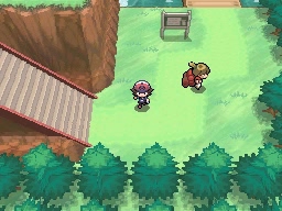 Ruta 14 en Pokémon Negro y Blanco — captura 1