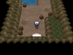 Calle Victoria en Pokémon Negro y Blanco — captura 1 Calle Victoria en Pokémon Negro y Blanco — captura 1