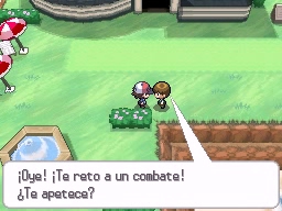 Pueblo Arenisca en Pokémon Negro y Blanco — captura 2 Pueblo Arenisca en Pokémon Negro y Blanco — captura 2