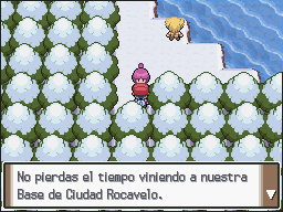 Lago Agudeza en Pokémon Platino — captura 1