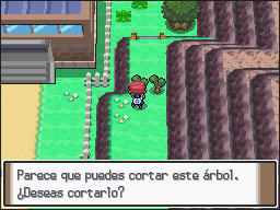 Ruta 206 en Pokémon Platino — captura 1