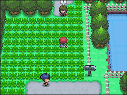 Ruta 204 en Pokémon Platino — captura 1