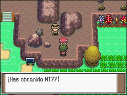 Ruta 211 en Pokémon Platino — captura 2 Ruta 211 en Pokémon Platino — captura 2