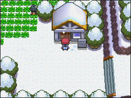 Ruta 216 en Pokémon Platino — captura 1 Ruta 216 en Pokémon Platino — captura 1
