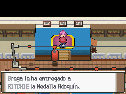 Ciudad Rocavelo en Pokémon Platino — captura 2 Ciudad Rocavelo en Pokémon Platino — captura 2
