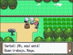 Pueblo Hojaverde en Pokémon Platino — captura 1 Pueblo Hojaverde en Pokémon Platino — captura 1