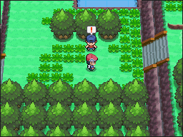 Ruta 203 en Pokémon Platino — captura 1 Ruta 203 en Pokémon Platino — captura 1