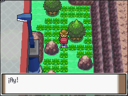Ruta 206 en Pokémon Platino — captura 2