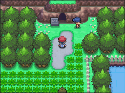 Ruta 204 en Pokémon Platino — captura 1