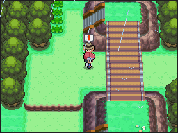 Ruta 215 en Pokémon Platino — captura 1