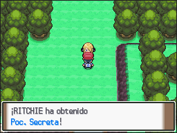 Ruta 203 (2) en Pokémon Platino — captura 2
