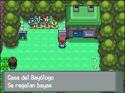 Ruta 208 en Pokémon Platino — captura 1 Ruta 208 en Pokémon Platino — captura 1