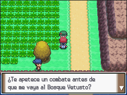 Ruta 205 en Pokémon Platino — captura 1 Ruta 205 en Pokémon Platino — captura 1