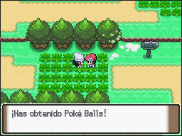 Ruta 202 en Pokémon Platino — captura 2 Ruta 202 en Pokémon Platino — captura 2