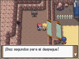 Ruta 207 en Pokémon Platino — captura 1