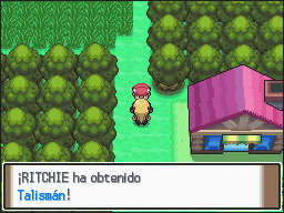 Ruta 210 (2) en Pokémon Platino — captura 2