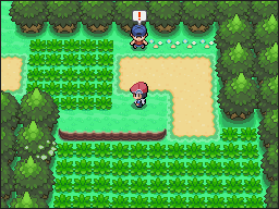 Ruta 202 en Pokémon Platino — captura 1 Ruta 202 en Pokémon Platino — captura 1