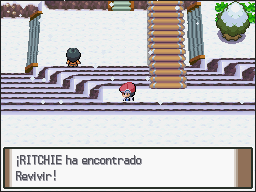 Ruta 216 en Pokémon Platino — captura 2 Ruta 216 en Pokémon Platino — captura 2