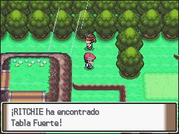 Ruta 215 en Pokémon Platino — captura 1