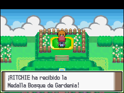 Ciudad Vetusta en Pokémon Platino — captura 2 Ciudad Vetusta en Pokémon Platino — captura 2
