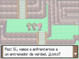 Ruta 210 (2) en Pokémon Platino — captura 1