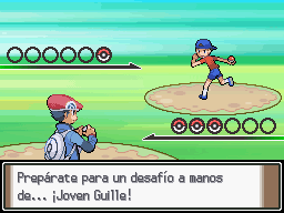 Ruta 204 en Pokémon Platino — captura 2